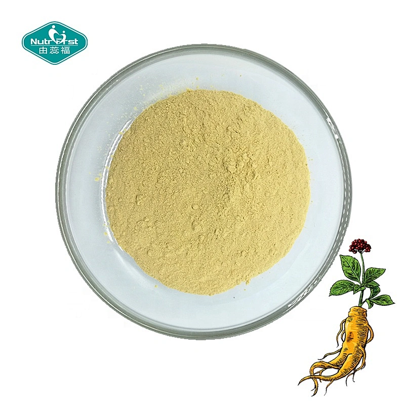 El extracto de hierbas apoya la función inmunológica Extracto de Panax Ginseng en polvo para el estado de ánimo Función cognitiva Energía y estrés