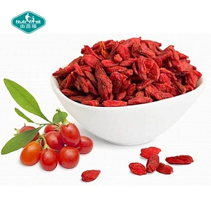 Nutrifirst Favorable Anthocyanidin Spray Dried Goji Berry Extract Wolfberry Extract Powder Lycium Chinense Miller