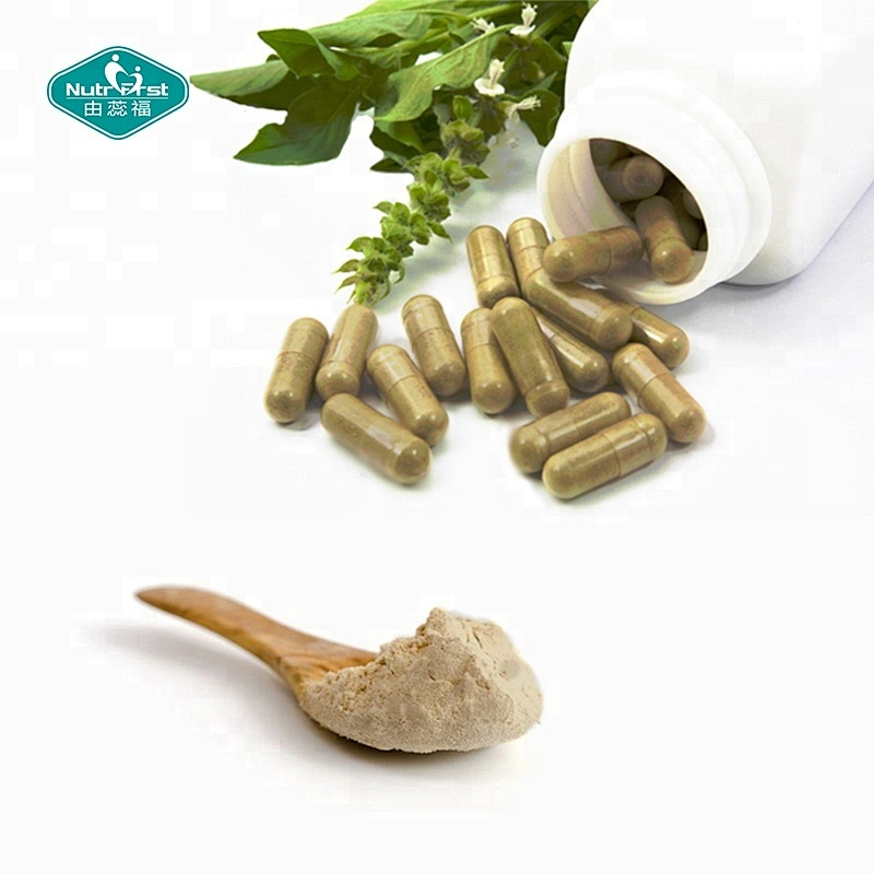 Suplemento deportivo Energy Booster Extracto de raíz de Ashwagandha Withania Somnifera Cápsulas en polvo para refuerzo inmunológico