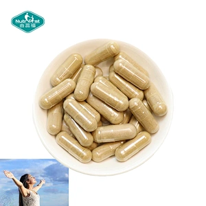 Nutrifirst Bespoke Formula GABA L-Theanine Inositol 5-HTP Capsule con Chamomile Inositol Taurine para la salud del cerebro