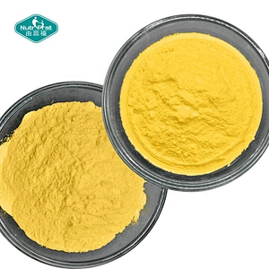 Nutrifirst Wholesale Bulk Water Soluble Coenzyme Q10 Ubiquinone COQ CoQ10 Ubiquinone Powder Co Q10 CoQ10