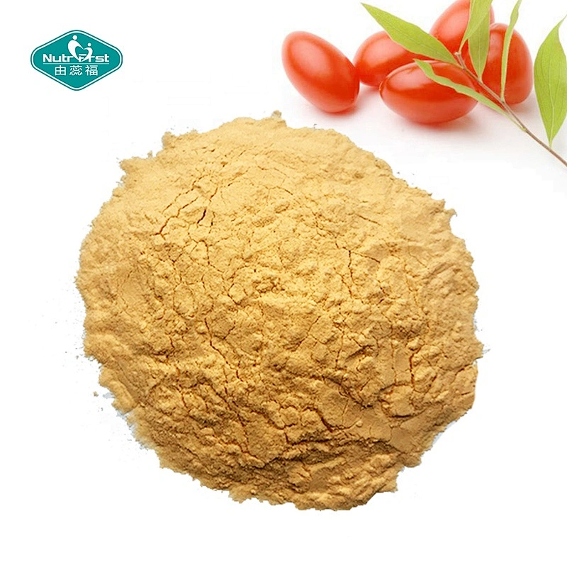 Extracto de antocianina de fruta de Wolfberry en polvo de bayas de Goji negras secas congeladas 100% de fabricante profesional chino