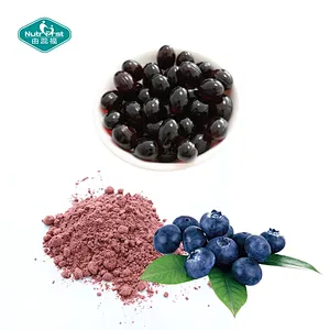 Nutrifirst Custom Customization OEM Supports Improved Vision Helps with Circulation Problems Bilberry Softgel