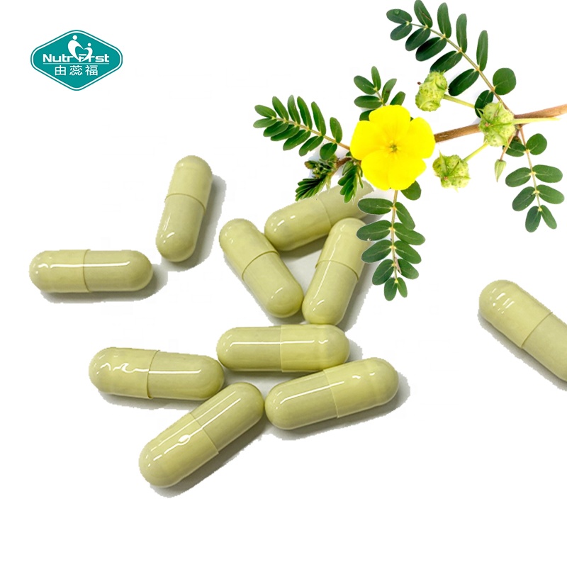 Nutrifirst-suplementos de refuerzo de energía a base de hierbas, personalización personalizada, cápsula de extracto de Tribulus Terrestris para adultos