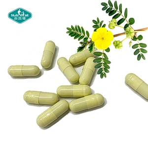 Nutrifirst-suplementos de refuerzo de energía a base de hierbas, personalización personalizada, cápsula de extracto de Tribulus Terrestris para adultos
