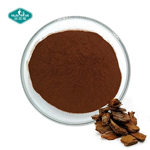 Wholesale Raw Material French Pine Bark Extract Powder 95% Proanthocyanidins 95% OPC Raw Material in Bulk