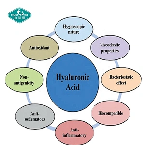 Nutrifirst Customized Grade Pure Acide Hyaluronique Poudre 99% Sodium Hyaluronic Acid Powder Low Molecular Weight