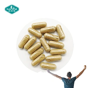 Nutrifirst Herbal Extract Cissus Quadrangularis Extract Vegetarian Capsules for Strong Bones and Joints
