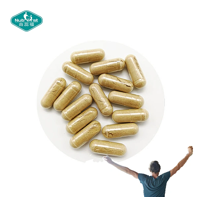 Nutrifirst Herbal Extract Cissus Quadrangularis Extract Vegetarian Capsules for Strong Bones and Joints