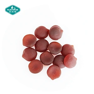 Nutrifirst Customized Support Multivitamin and Minerals Gummy with Fish Oil