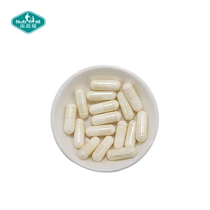 Private Label Vegan Serrapeptase Enzymes Capsules Enzyme Supplement