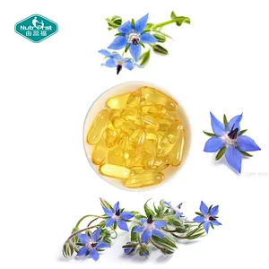 Nutrifirst Custom Customization OEM Reduce the Appearance of Fine Lines and Wrinkles Borage Oil Softgel