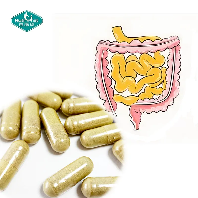 OEM Herbal Supplements Slippery Elm Aloe Vera Lemon Balm DGL Licorice Extract Capsules for Natural Heartburn Relief Digestive
