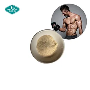 Nutrifirst Private Label OEM Creatine Monohydrate Powder for Muscle Growth & Strength