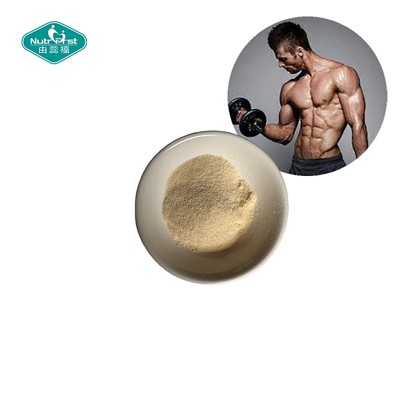 Nutrifirst Private Label OEM Creatine Monohydrate Powder for Muscle Growth & Strength