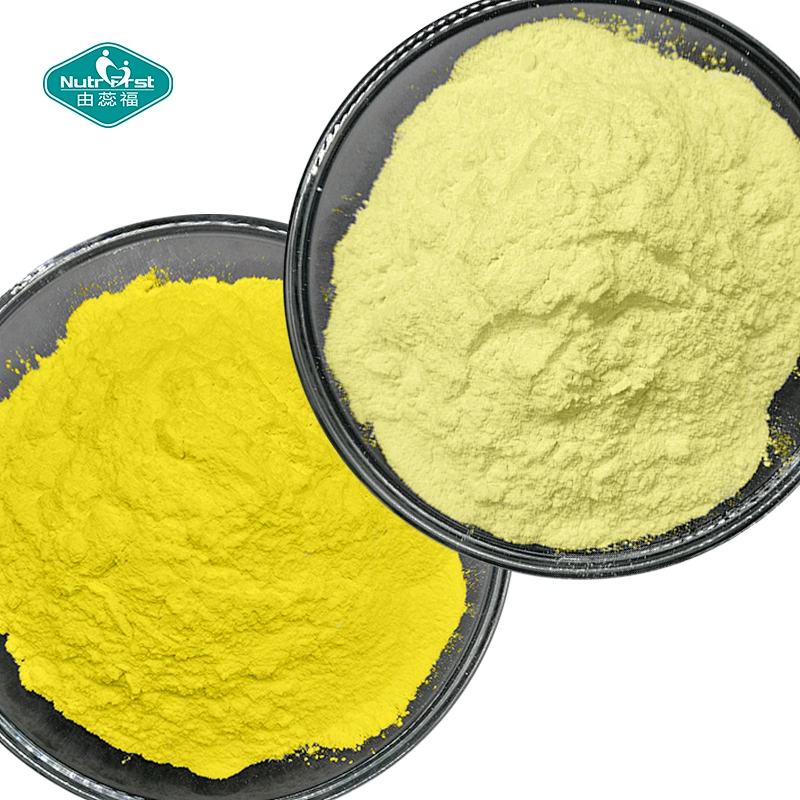 Professional Factory Bulk 303-98-0 Suplemento Ubiquinol Materia prima 98% Coq10 Co enzima Coenzima q10 Polvo