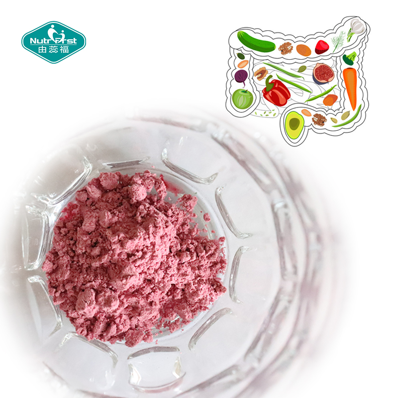 Ultimate Formulation Energy Support Polyphenol Probiotic Blend Super Red Drink Powder