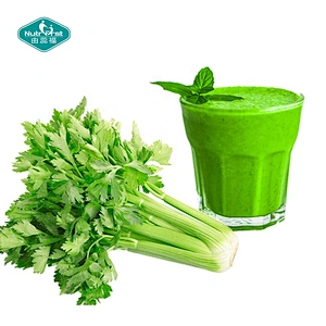 Vegetable Extract Professional Factory Organic Pure Instant Spray Dried Celery Juice Powder for Food Additive