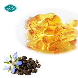 Nutrifirst Health Supplements GLA Borage Oil Softgel Capsule in Bulk With Bespoke Package
