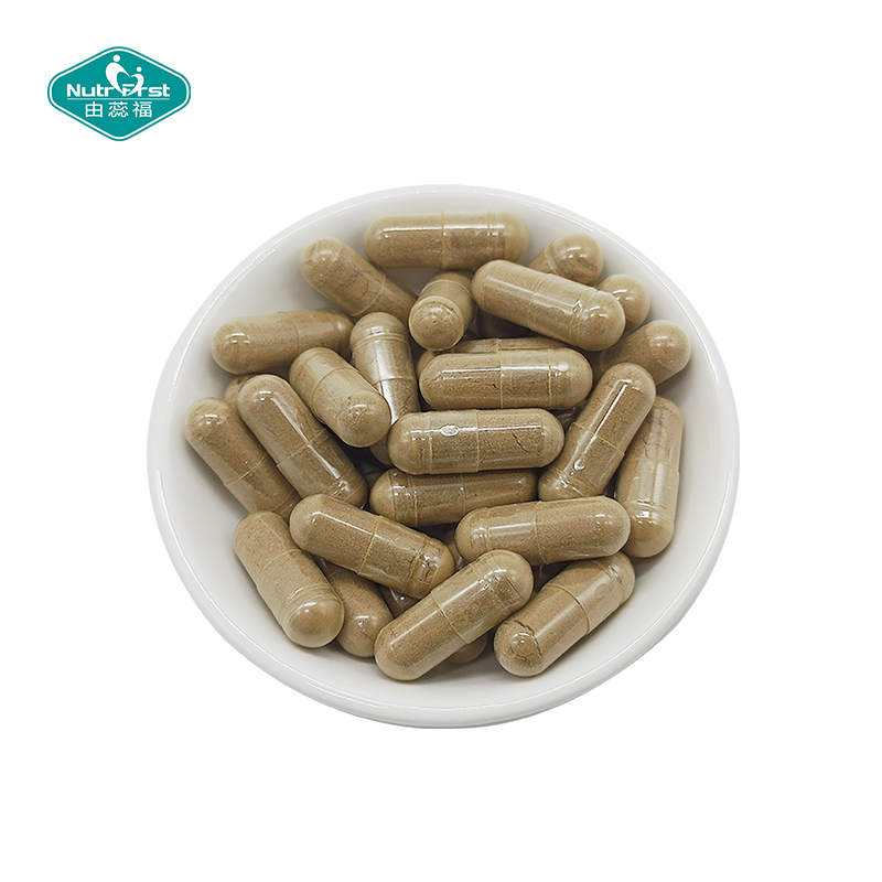 100% Extracto de hierbas Tribulus Terrestris Ginkgo Biloba Schisandra Chinensis Extracto Cápsula energética para adultos