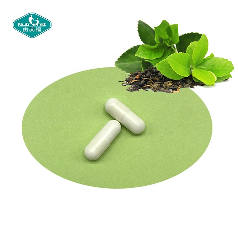 Nutrifirst Pastillas Nootrópicas Suplemento Cerebral Alfa L Teanina Las Cápsulas Nootrópicas Veganas Mejoran La Cognición