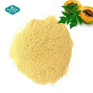 Fruit Extract Professional Factory Food Grade Enzyme Papain Enzym Papaya Extract Bulk Papain Enzyme Powder