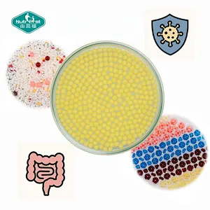 Nutrifirst Private Label Custom Probiotic Candy Gummy Colorful 3-Layer Seamless Miniature Intestinal Soluble Soft Capsule
