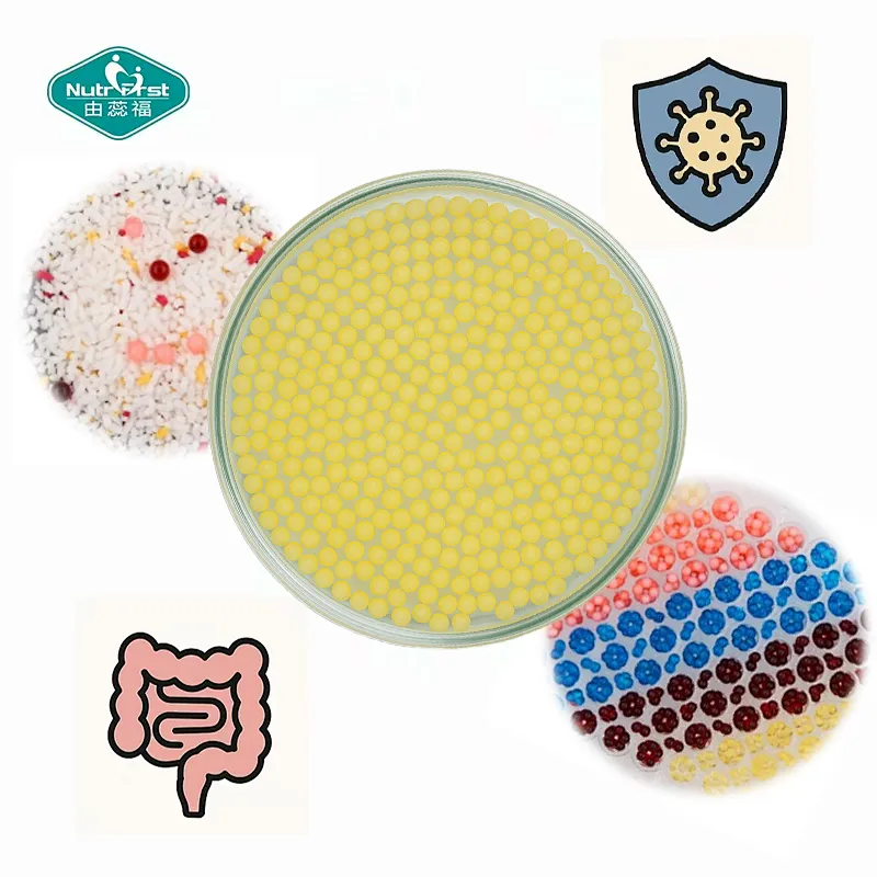 Nutrifirst Private Label Custom Probiotic Candy Gummy Colorful 3-Layer Seamless Miniature Intestinal Soluble Soft Capsule