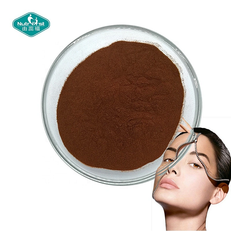 Factory Supply Plant Extracts 95% Pinus Massoniana Lamb OPC 95% Anthocyanidin Powder Pine Bark Extract