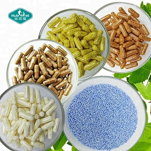 Suplementos a medida de magnesio y potasio Cápsulas granulares de pellets de liberación retardada para impulsar el sistema inmunológico