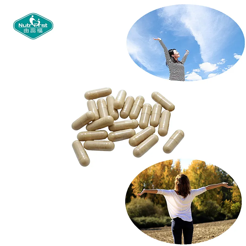Nutrifirst Custom Customization Mood and Sleep Regulation Help with Physical Health Motherwort Capsules