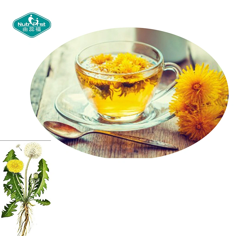 Nutrifirst Dietary Supplements Dandelion Root Extract Pill Dandelion Capsules with Dandelion Root Flavonoids