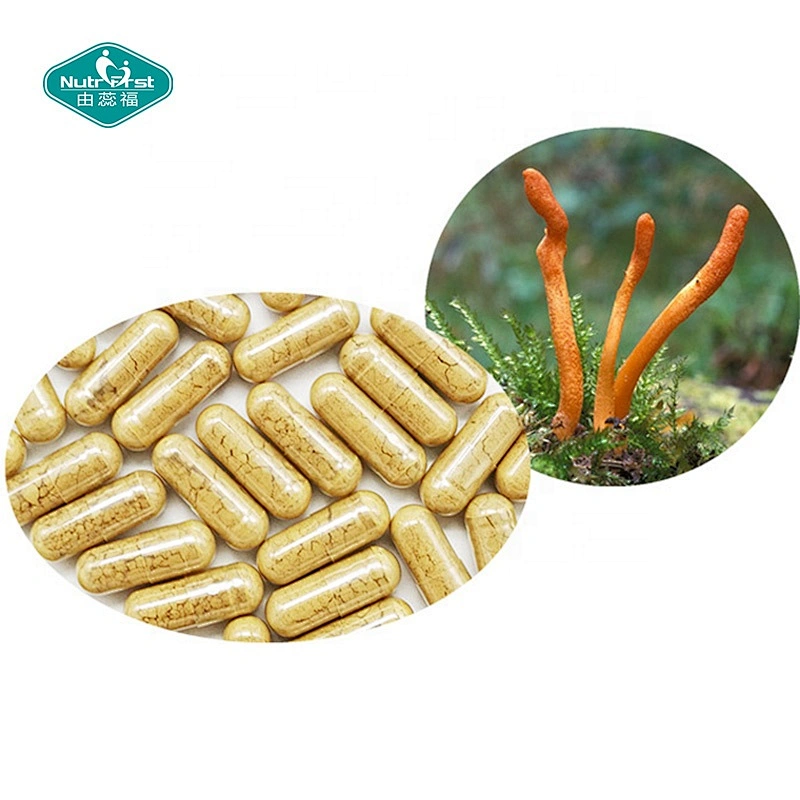 Custom Customization Private Label Male Supplements Ginseng Cordyceps Sinensis Capsules OEM ODM
