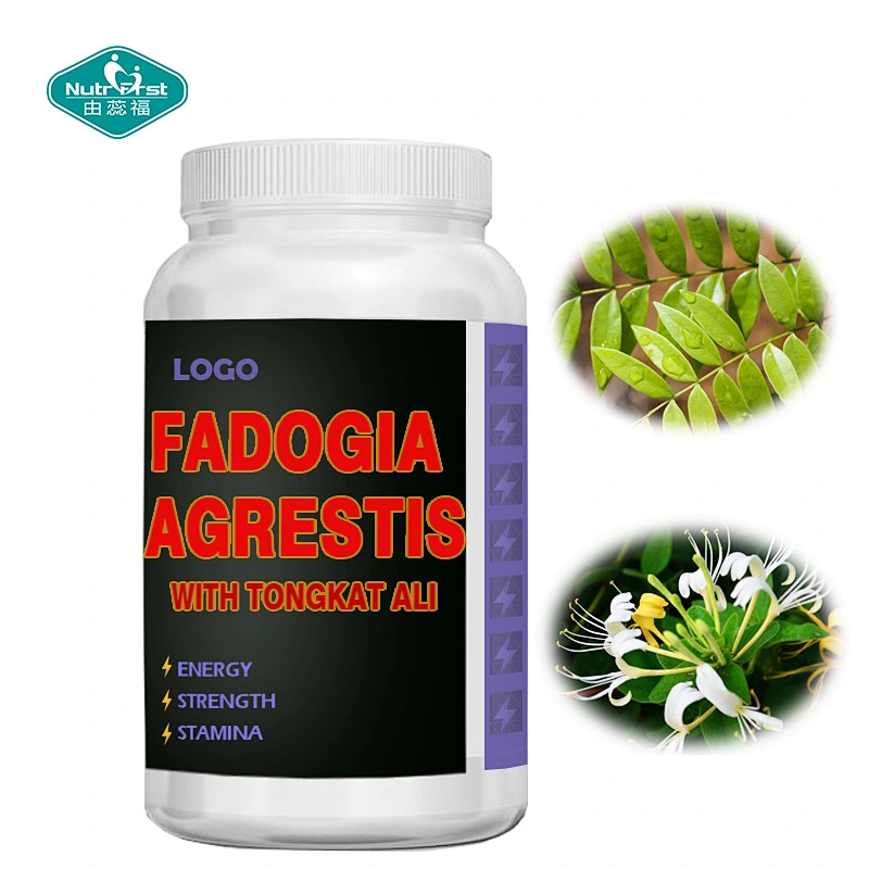Nutrifirst OEM Customized Tongkat Ali Fadogia Agrestis Herb Extract Capsules for Muscle Mass Body Endurance