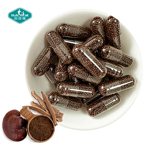 Nootropics Reishi Lions Mane Cordyceps Chaga Shiitake Mushroom Blend Extended Release Beadlets Capsules
