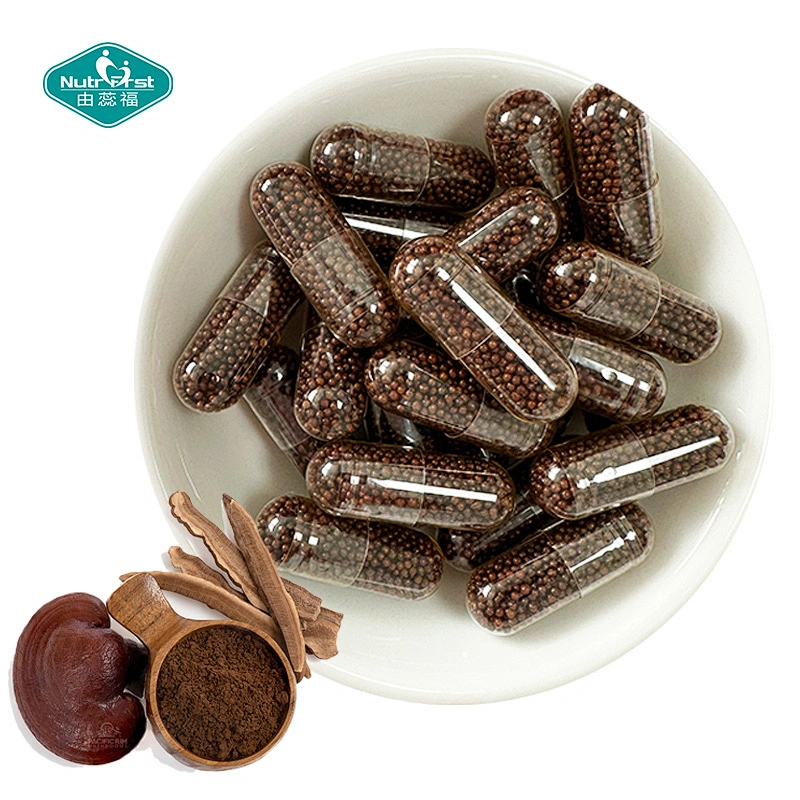 Nootropics Reishi Lions Mane Cordyceps Chaga Shiitake Mushroom Blend Extended Release Beadlets Capsules