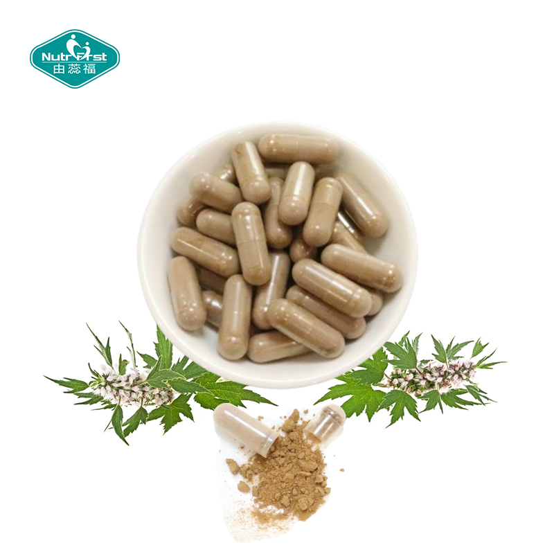 Nutrifirst Custom Customization Mood and Sleep Regulation Help with Physical Health Motherwort Capsules
