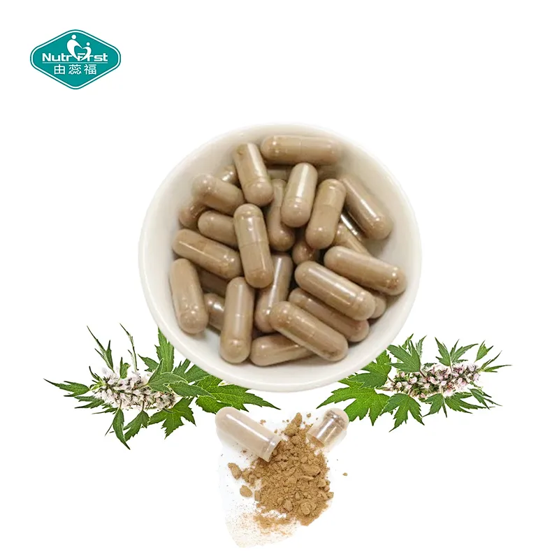 Nutrifirst Custom Customization Mood and Sleep Regulation Help with Physical Health Motherwort Capsules