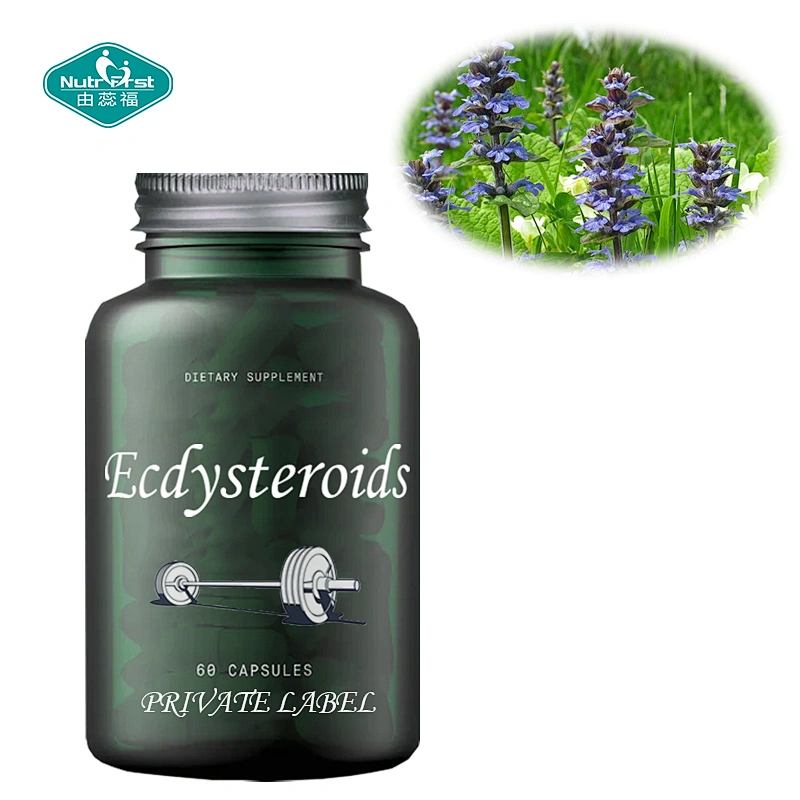 Nutrifirst Athletes Sport Supplement Customize Service Ecdysteroids Ashwagandha Vitamin E Capsules for Adipose Burner