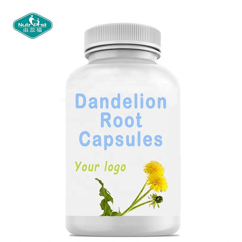Private Label Food Supplements Dandelion Root Extract Diuretic Herb Capsules Circulation Support