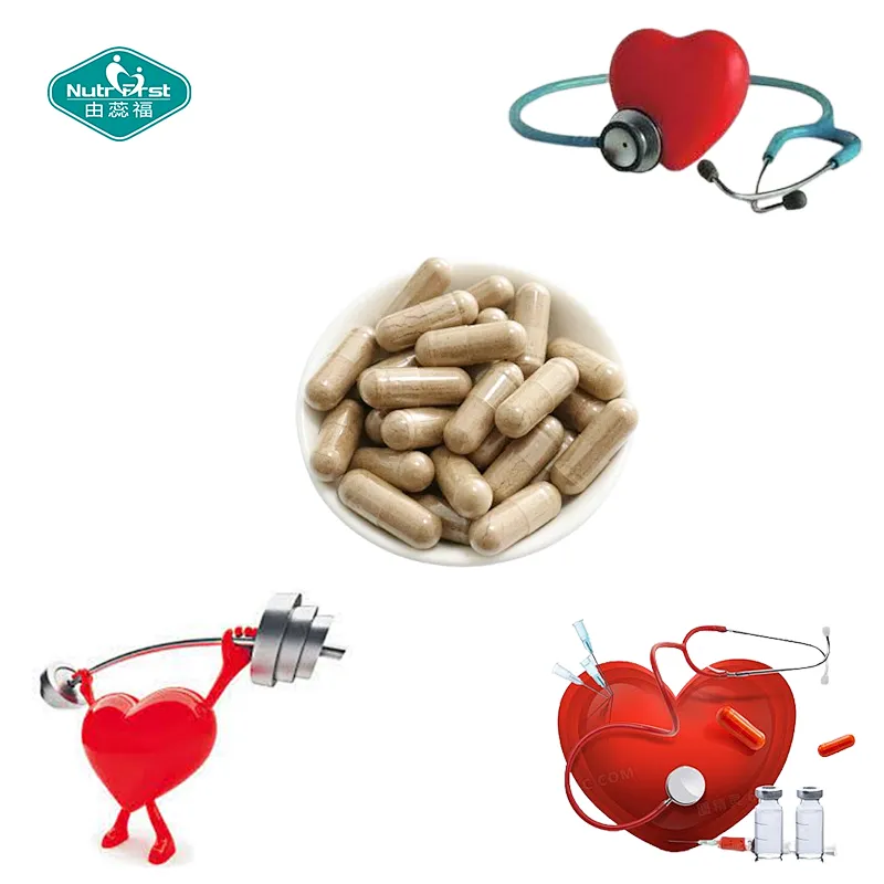 Manufacture OEM Protect Heart Health COQ10 Capsules