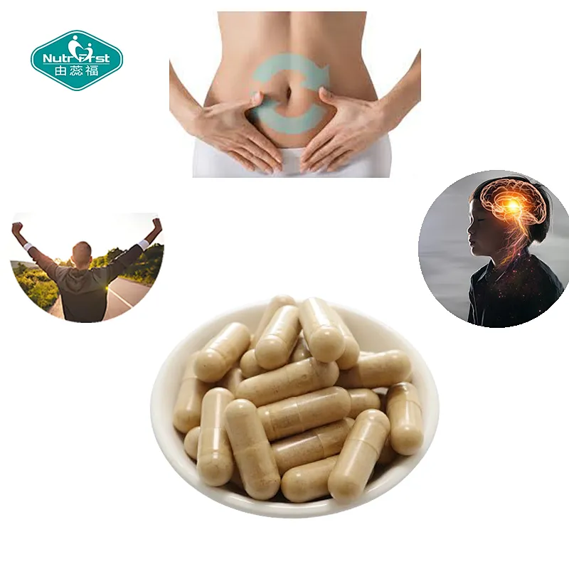 Nutrifirst Lions Mane Mushroom Capsules Supports Brain Heart Health Less  Stress&More Energy Dietary Supplement Capsules