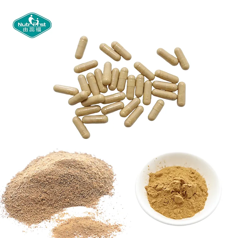 Nutrifirst Lions Mane Mushroom Capsules Supports Brain Heart Health Less  Stress&More Energy Dietary Supplement Capsules