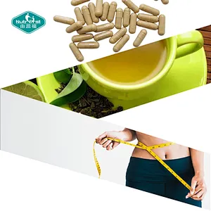 Nutrifirst Green Tea Capsules Rich in Polyphenols Antioxidant Support Boosts Immune System Dietary Supplement