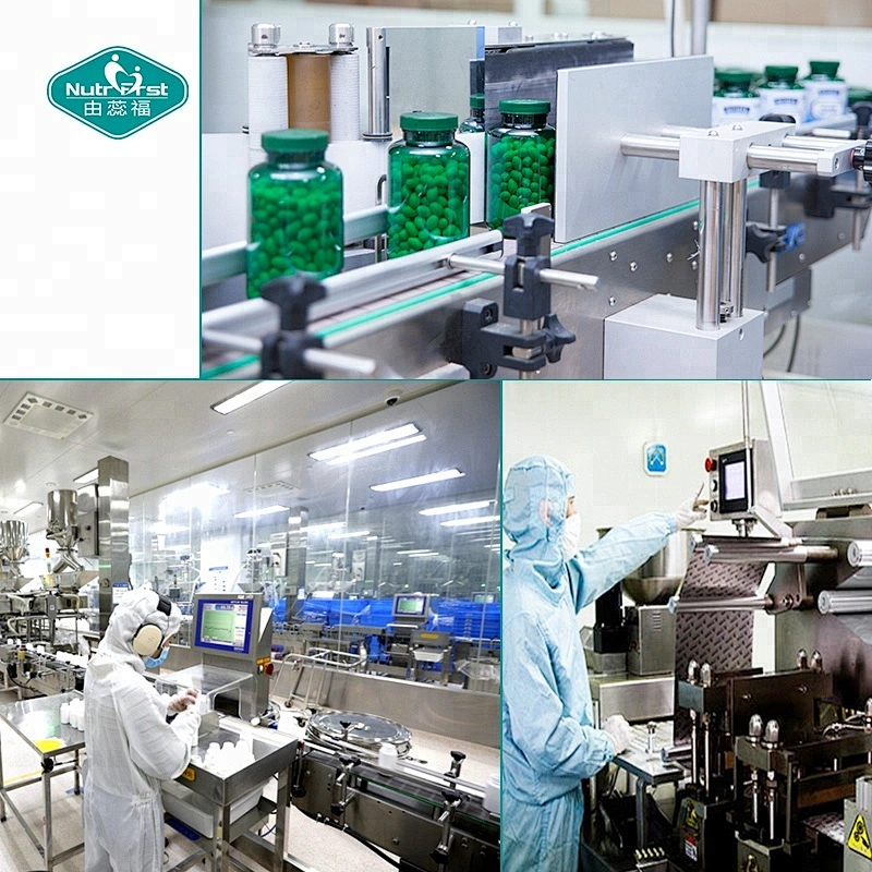 Private Label Manufacture OEM Next Generation Beneficial Strain Akkermansia Capsules for Gut Health