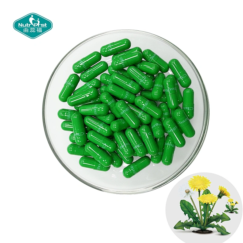 Nutrifirst Dietary Supplements Dandelion Root Extract Pill Dandelion Capsules with Dandelion Root Flavonoids