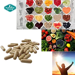 Las cápsulas de liberación prolongada de vitamina C Nutrifirst respaldan la actividad antioxidante y mejoran el desarrollo óseo Suplemento dietético