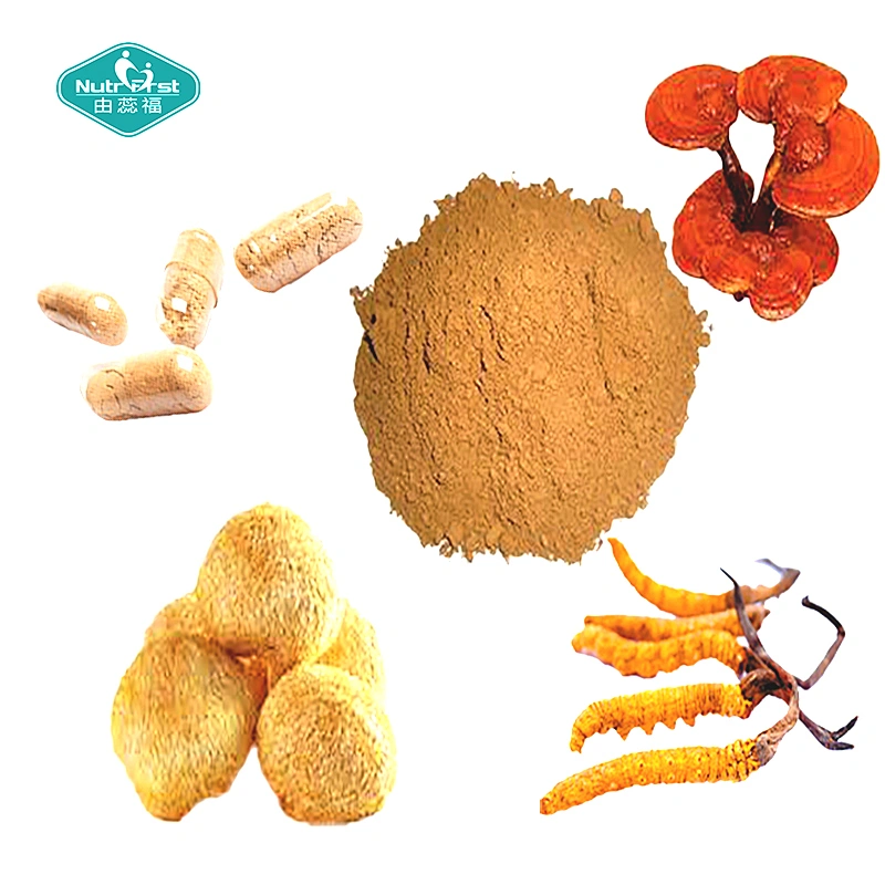 Suplementos de hierbas para el cerebro a medida Cordyceps Sinensis Reishi Lions Mane Mushroom Extract Nootropics Booster Capsule