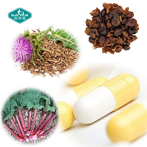 Contrato Nutrifirst Fabricante personalizado Body Detox Digest Support Cápsulas de hierbas a granel para un intestino potente