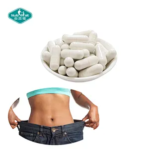 Private Label Manufacture OEM Next Generation Beneficial Strain Akkermansia Capsules for Gut Health